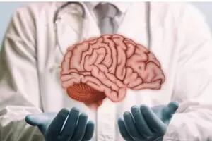 Por qué no se puede trasplantar el cerebro y cuáles fueron los experimentos para hacerlo