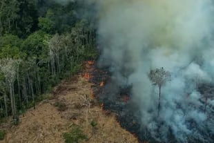Incendio en Amazonía durante Agosto de este año