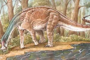 Encontraron en Neuquén los restos casi completos de un dinosaurio que vivió hace 86 millones de años