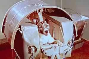 Una perra rusa en órbita: ola de críticas y las dudas de Bernardo Houssay
