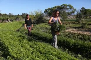Luz Delorenzini y Soledad La Guardia en su quinta de la casa autosustentable