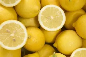 Limones: los desafíos de una industria que es líder a nivel mundial desde hace décadas