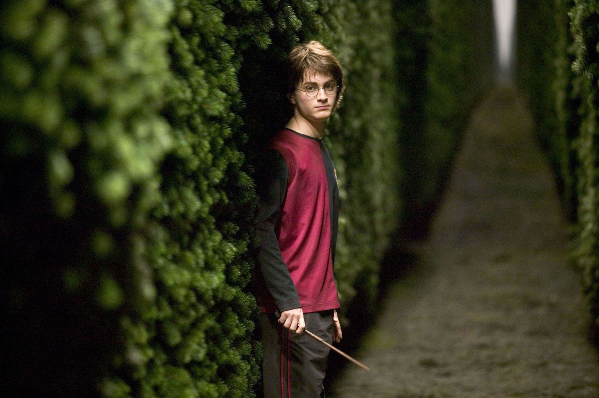 Harry Potter en el laberinto durante el torneo de los Tres Magos