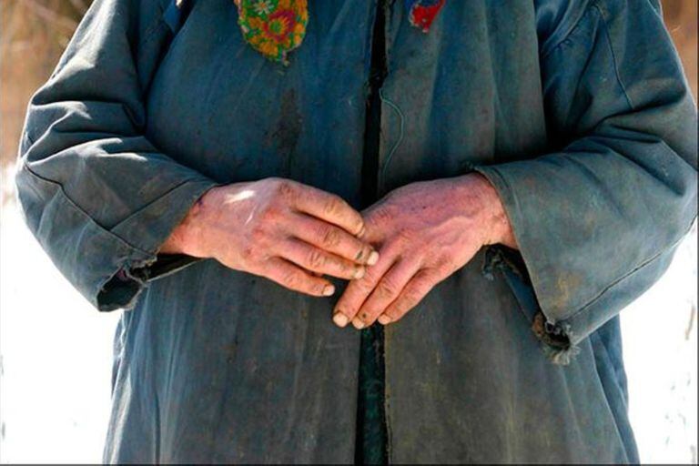 Las manos maltrechas de Agafia revelan años de trabajo en el campo