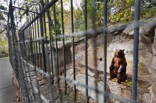 Tras la crisis, el zoo de Mendoza será transformado en ecoparque