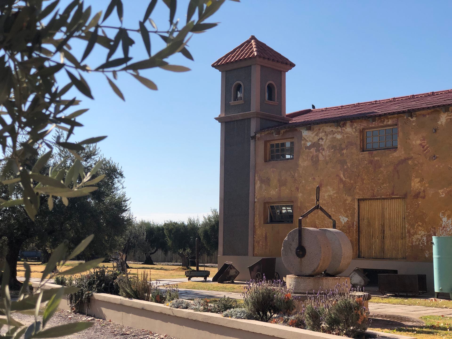 Laur es una productora de aceite de oliva fundada en Mendoza en 1889