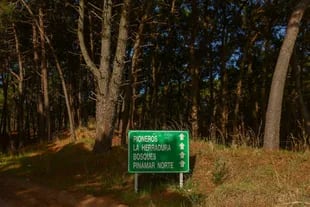 Bosques y Pioneros, nuevos barrios cerrados de Pinamar