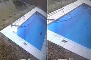 El momento en el que un niño de cinco años se arroja al agua helada para salvar a su cachorro