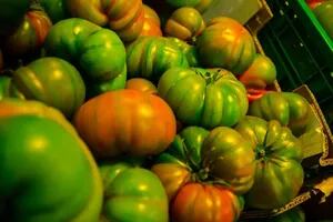 Las góndolas de Gran Bretaña se quedan sin verduras y una ministra sugirió reemplazar el tomate por el nabo