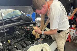 Un mecánico de Carolina del Sur abrió el capó de un auto y lo que encontró lo dejó sin aliento