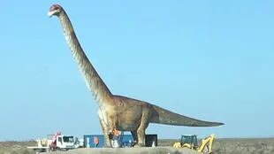 Chubut: arman una réplica del Titanosaurio, dinosaurio más grande del mundo - LA NACION