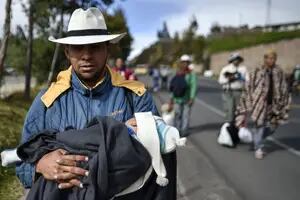 La región coordina más acciones para contener el éxodo de venezolanos