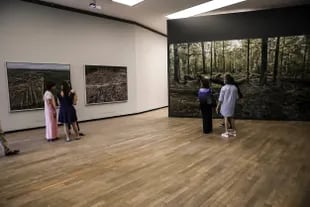 Una de las salas de Proa, con vistas de bosques sanos y arrasados por la deforestación