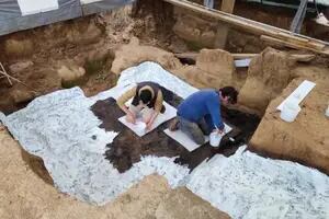 Desentierran una bodega romana y su estado de conservación dejó atónitos a los arqueólogos
