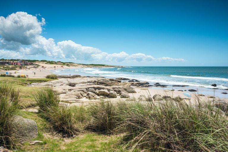Las 5 claves para tener playas sustentables y convivir con la naturaleza
