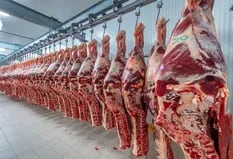La carne no para de traer dólares al país: ya aportó más de US$1000 millones