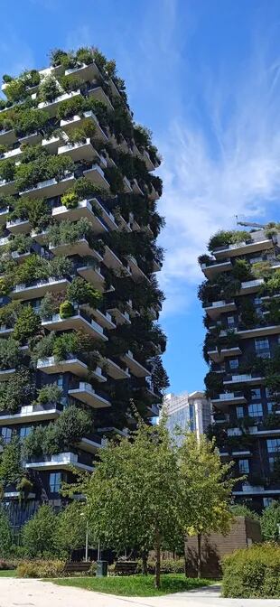 En el corazón de Milán, el Bosco Verticale y sus alrededores representan un verdadero patrimonio de la biodiversidad