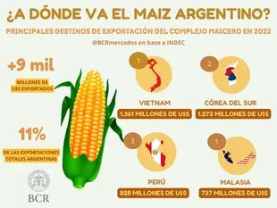 Las exportaciones de maiz argentino