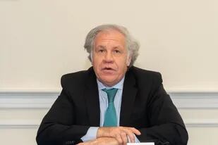 19-02-2021 Luis Almagro, secretario general de la OEA POLITICA INTERNACIONAL OEA/JUAN MANUEL HERRERA