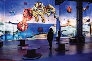 Dalí, el enigma sin fin propone un viaje dentro de imágenes en movimiento, con música de Pink Floyd