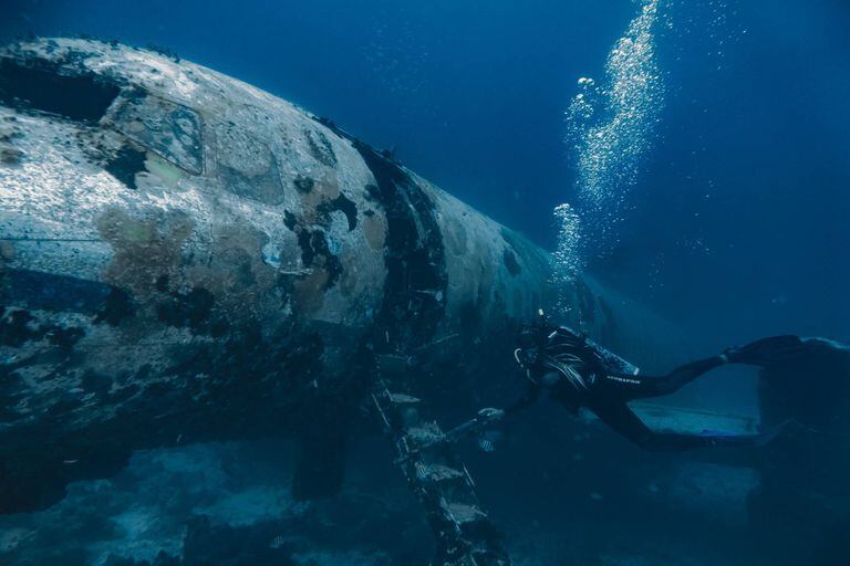 En Aruba, Nicolas Marin encontró un avión siniestrado, que se convirtió en el hábitat de corales y de otras tantas especies marinas