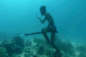 La tribu que aprendió a vivir hasta 13 minutos en apnea bajo el agua: cómo lo lograron