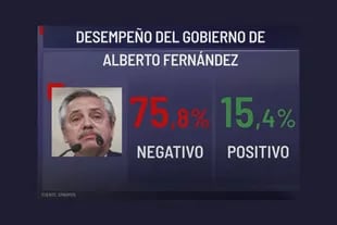 El desempeño del Gobierno de Alberto Fernández