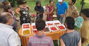 En la Granja La Carretilla, en la provincia de San Luis, se hizo un taller de degustación de tomates criollos
