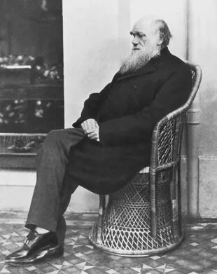 Charles Darwin en 1875