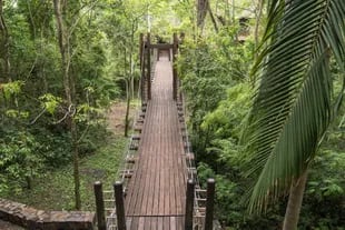 Hay sectores del Loi Suites Iguazú que están intercomunicados por pasarelas colgantes.