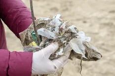 Crean un dispositivo que evita que el plástico llegue a las playas de la Costa Atlántica