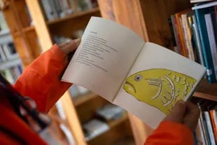 La Biblioteca Popular Santa Genoveva tiene más de 7000 títulos y la "bibliolancha" los acerca a las escuelas y a los isleños a los que les cuesta llegar hasta el lugar