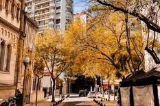 Caen los precios de las propiedades en la calle más parisina de Buenos Aires, cuánto