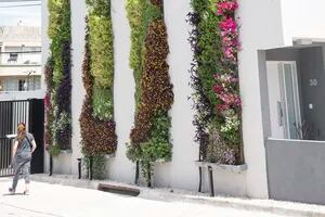 Jardines verticales: seis paredes verdes para dar vida y color a los espacios