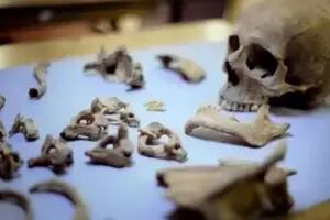 Un análisis de ADN ayudó a resolver un macabro crimen cometido hace 800 años