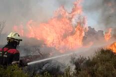 Ola de calor en España: así combaten los incendios forestales