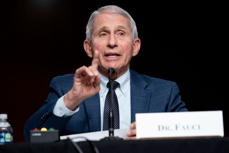 Dr. Anthony Fauci, White House Chief Medical Advisor and Director of the NIAID, gives and opening statement during a Senate Health, Education, Labor, and Pensions Committee hearing to examine the federal response to Covid-19 and new emerging variants on January 11, 2022 at Capitol Hill in Washington, DC. (Photo by Greg Nash / POOL / AFP)