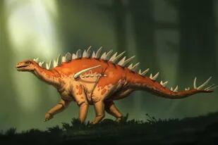 04-03-2022 Bashanosaurus primitivus: la especie de estegosaurio más antigua de Asia y posiblemente del mundo POLITICA INVESTIGACIÓN Y TECNOLOGÍA BANANA ART STUDIO