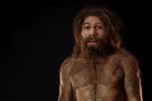 Prehistoria: revelan cómo eran las relaciones sexuales de los neandertales