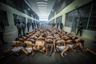 Los prisioneros en la nueva cárcel de El Salvador