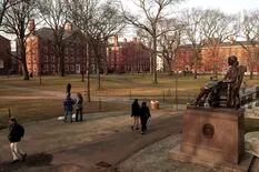 Los cursos gratuitos de la Universidad de Harvard: cuáles son y cómo aprovecharlos