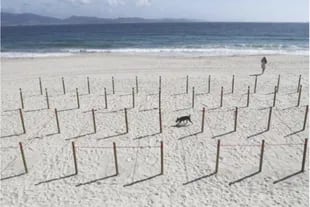 Municipios españoles delimitan los espacios que se pueden utilizar en la playa para garantizar el distanciamiento social