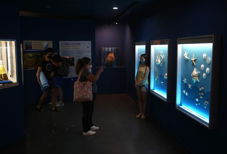 El Museo de Ciencias Naturales Lorenzo Scaglia es uno de los preferidos de los niños