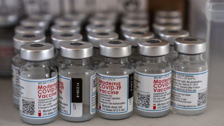 Analistas señalan que los gobiernos son los encargados de garantizar el éxito de los planes masivos de vacunación