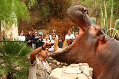 Córdoba: intervienen el Zoo para garantizar la alimentación de los animales