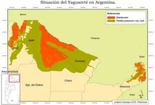 Las estimaciones oficiales indican que sólo en el mejor de los casos, quedarían 250 yaguaretés en la Argentina y no más de 30 en la región chaqueña, donde Hidvégi cazó uno