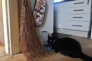 Tonks tiene una escoba de bruja y un gato negro llamado Cairn