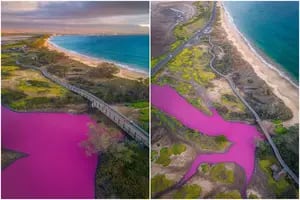 Un estanque se tiñó de rosa chicle y los científicos tienen su hipótesis