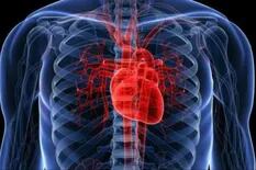 Alertan sobre la afección que genera más muertes por enfermedad cardiovascular