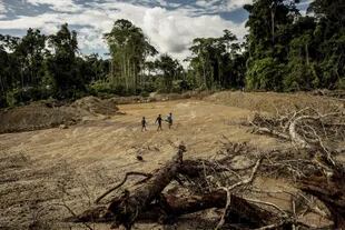 La deforestación de la Amazonia se aceleró en la gestión de Bolsonaro